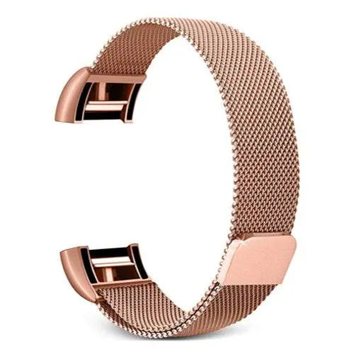 Fitbit Charge 2 Prestige Stainless Steel Mesh Loop Band - Pinnacle Luxuries